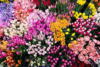 开放世界冒险《Tchia》延期至2023年发售