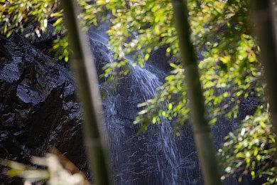 Fami通2月销量榜：《女神异闻录3：Reload》登顶